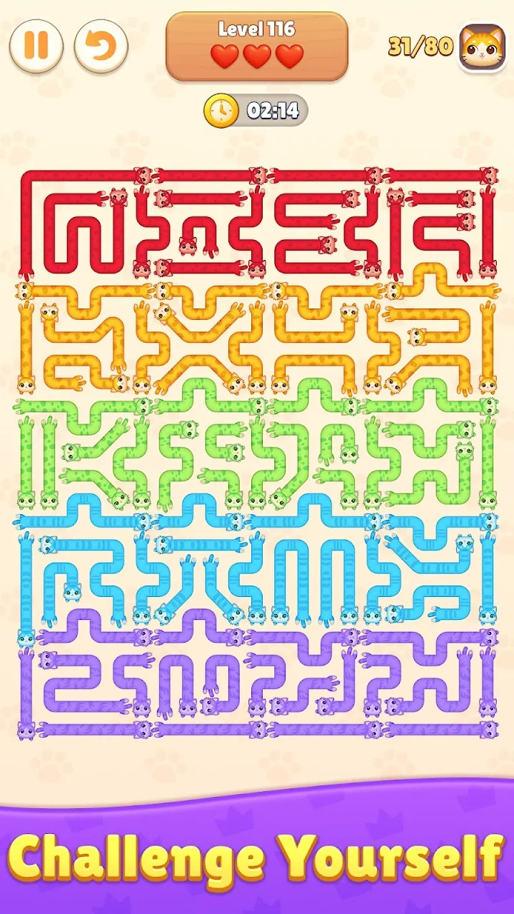 Cat Out Puzzle — wizualizacja 1